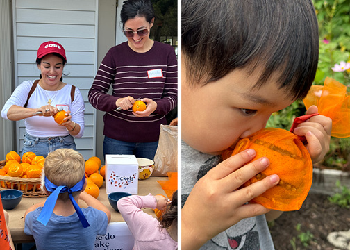 Orange/Clove Pomander