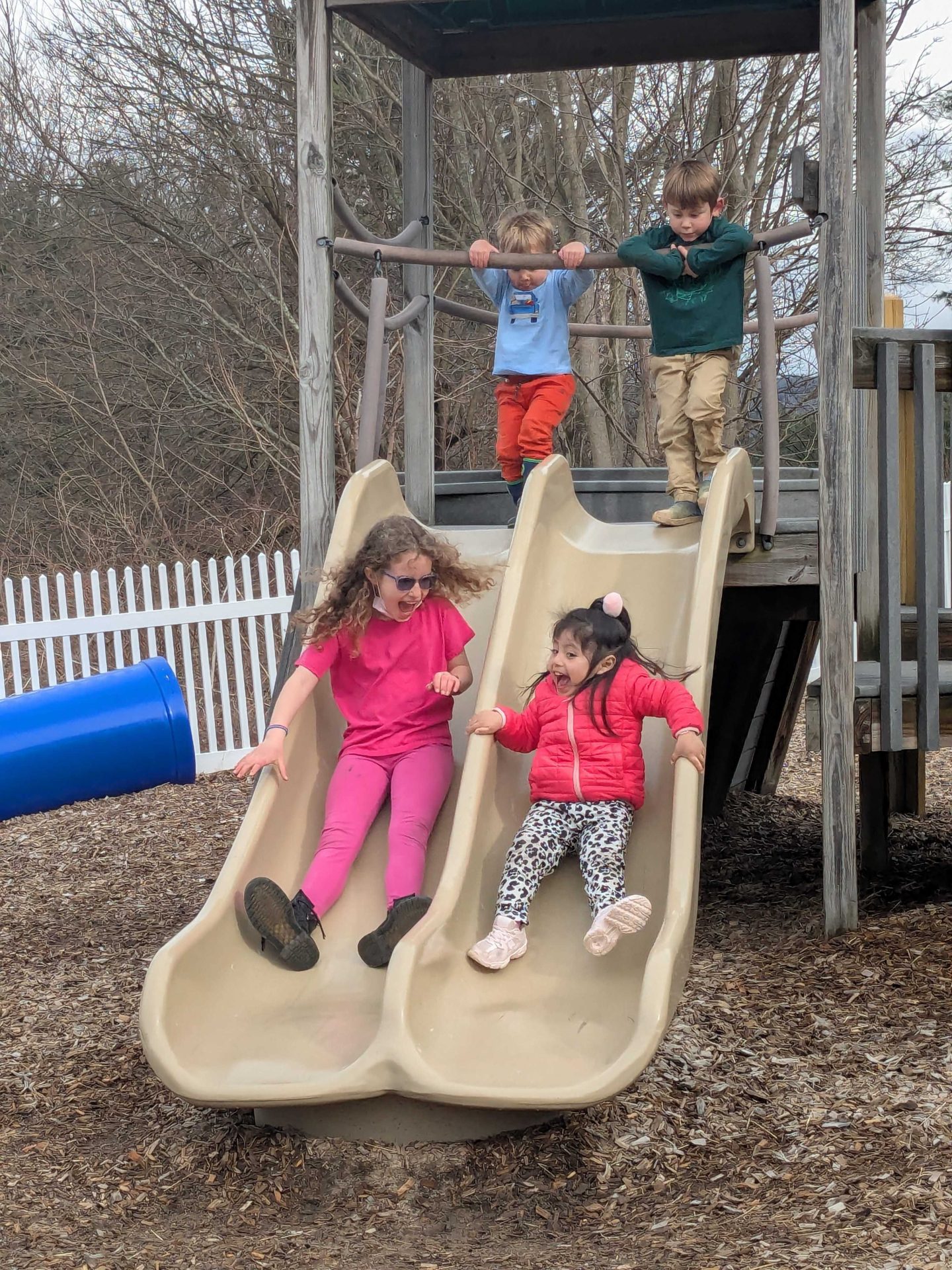 PXL_20250403_203302211.MP